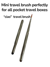 Load image into Gallery viewer, The Scottie Artist Flask palette paint box-  Gloss and Matte Black